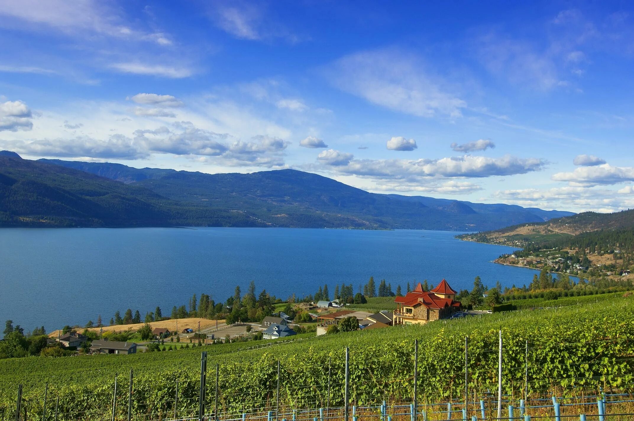 Кантри лейк. Отель country lake villa в айзенштадт. Лейк вудс консервейшн. Lake country polish. Онтарио канада коттеджи у озера.
