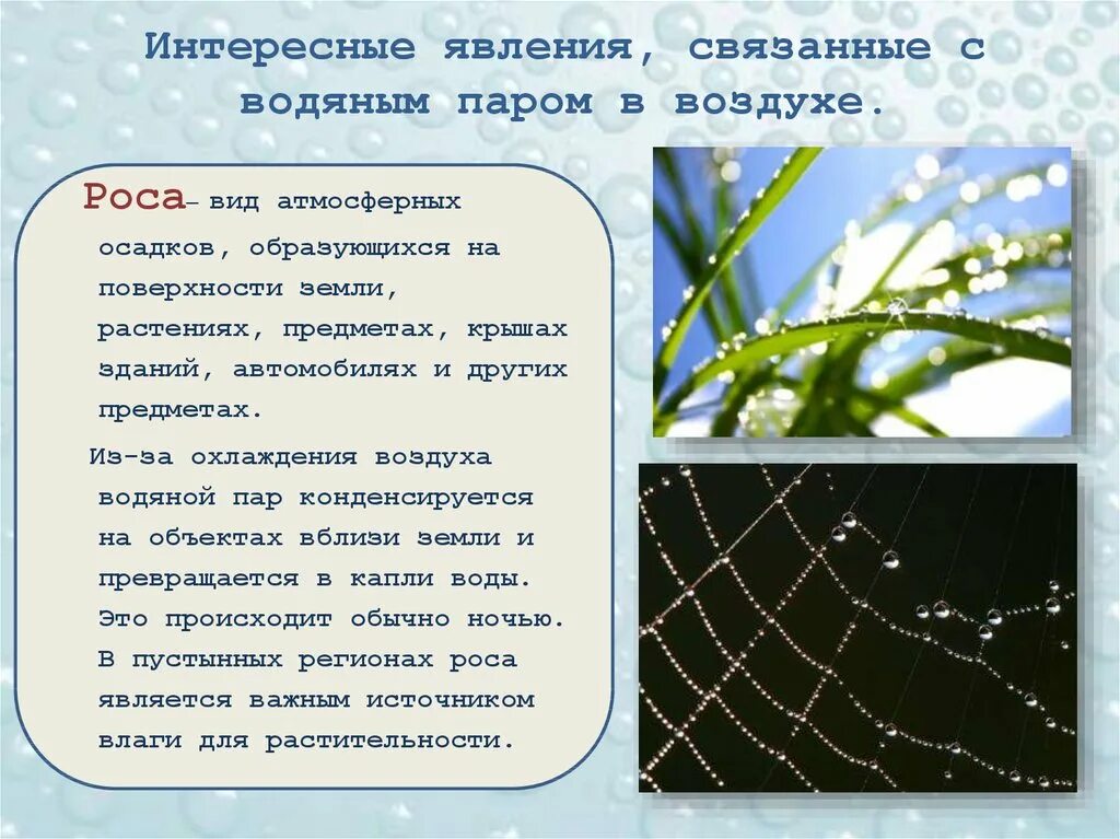 Виды атмосферных осадков. Осадки виды осадков. Атмосферные осадки виды. Роса вид осадков. Почему выпала роса