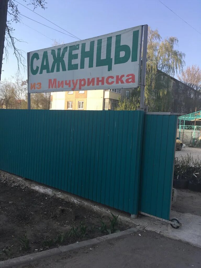 Код мичуринска