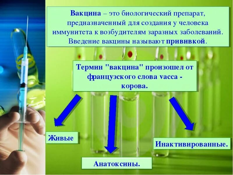 Опасна ли вакцинация для здоровья. Прививка это определение. Вакцинация это определение. Понятие вакцина. Вакцина это определение.