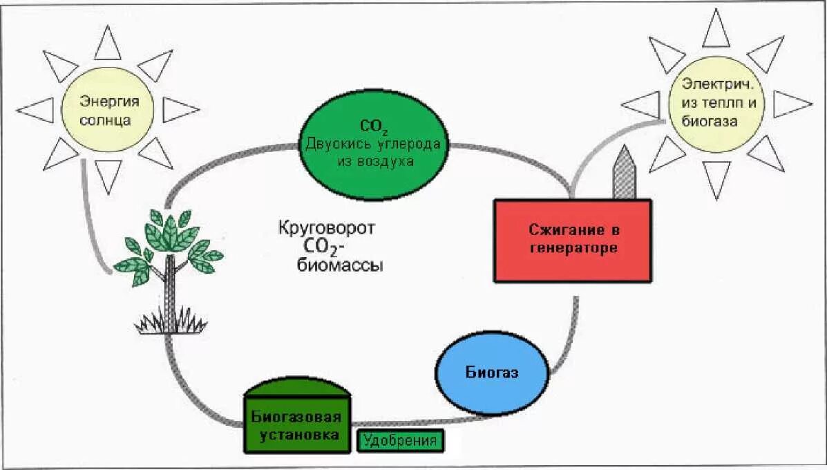 Воздушные круговороты. Биогаз в природе схема. Круговорот углерода схема простая. Схема круговорота углекислого газа. Круговорот углерода в природе схема.