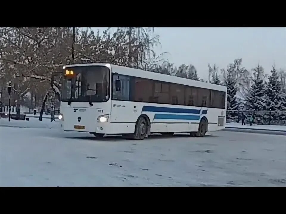 Тобольск автобус 3д. Автобус тобольск. тобольск автобус 541. автобус тобольск 206. автобус тобольск 537.