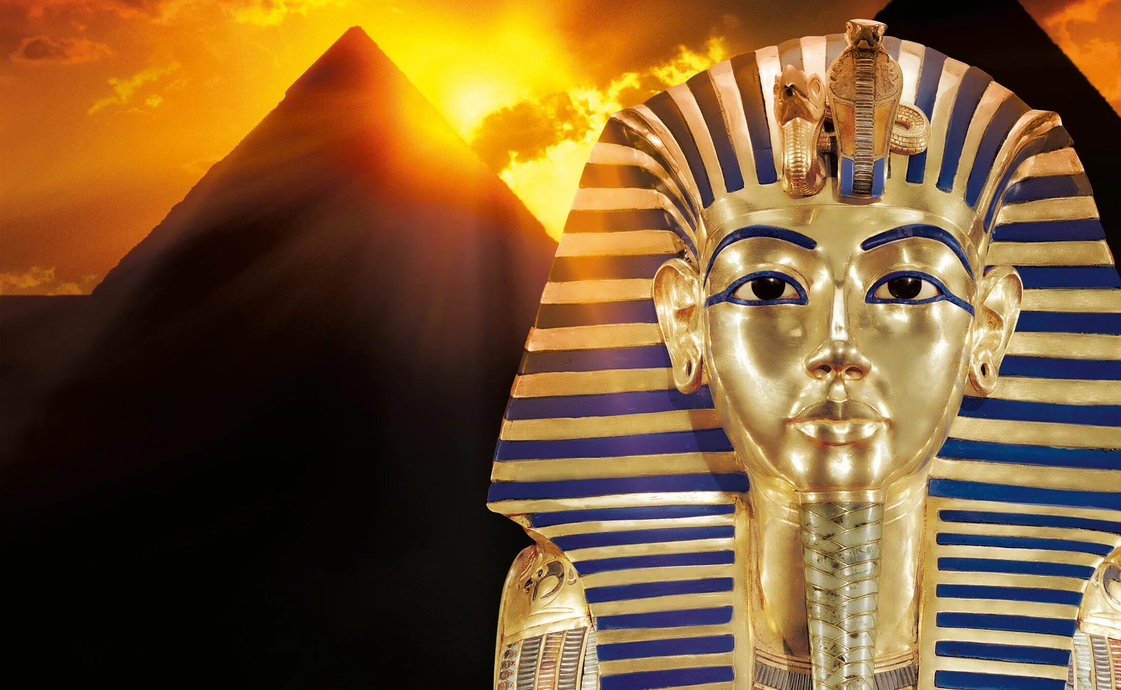 Official egypt. Official egypt. Official egypt. Official egypt. Пирамиды гизы.
