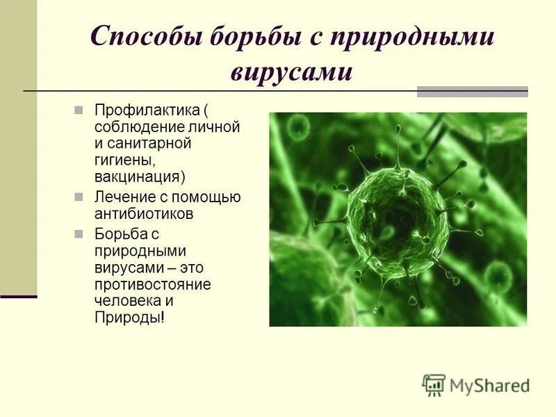 Как бороться с вирусами биология. Способы борьбы с вирусами биология. Способы борьбы с вирусами человека. Профилактика и методы борьбы с вирусами.