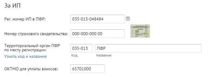 Получить номер пфр. Номер ПФР. Регистрационный номер пенсионного фонда. Регистрационный номер в ПФ РФ. Рег номер ПФР.