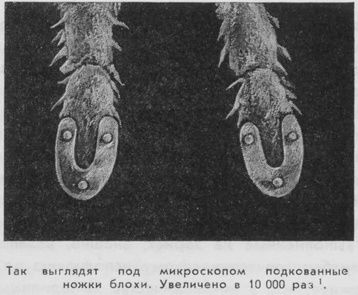 Дворец культуры "Энергетик" Новости