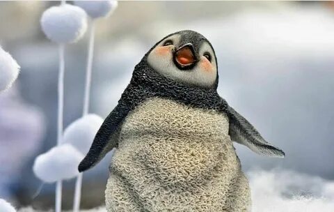 Penguin baby