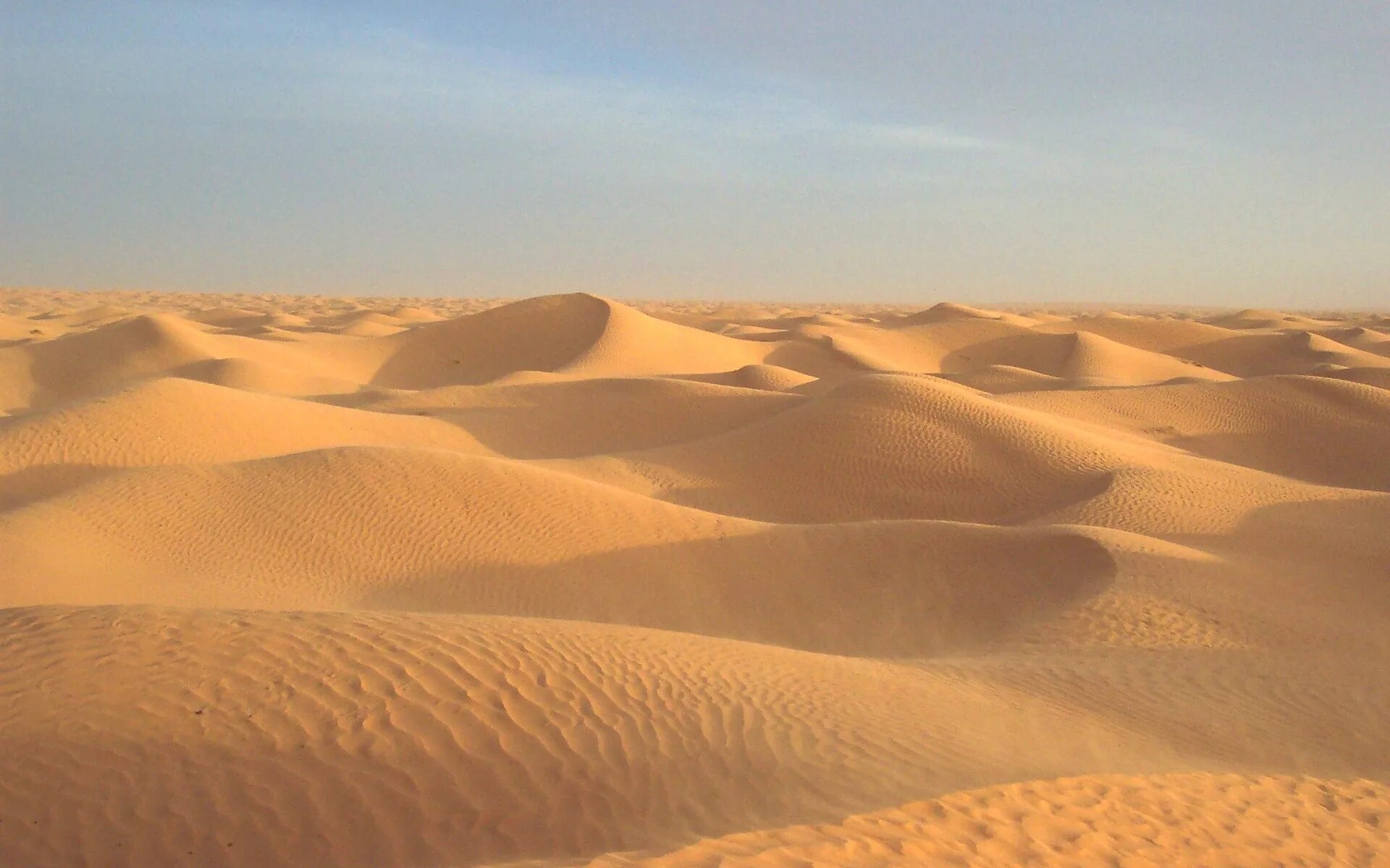 Дюнп. Дюны Барханы грядовые Пески. Дюны в Абу Даби. Песчаные дюны с барханами Египта. Песчано-эоловая пустыня Сахары.