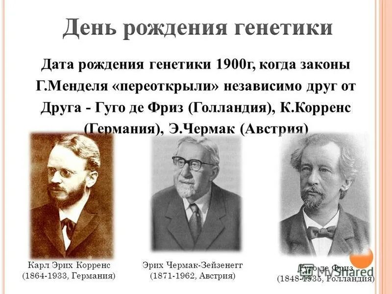 генетика в каком году. генетика в каком году. теория томаса моргана генетика. открытие законов генетики. грегор иоганн мендель генетика.