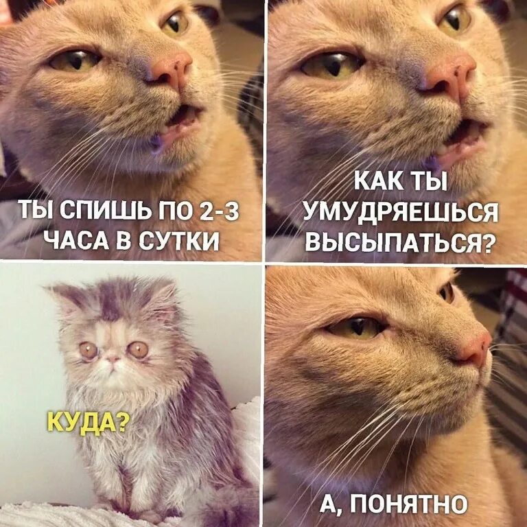 В смысле час ночи
