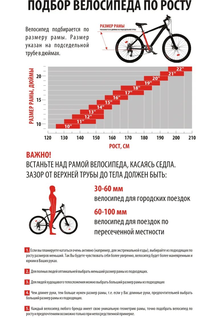 Как выбрать размер рамы велосипеда