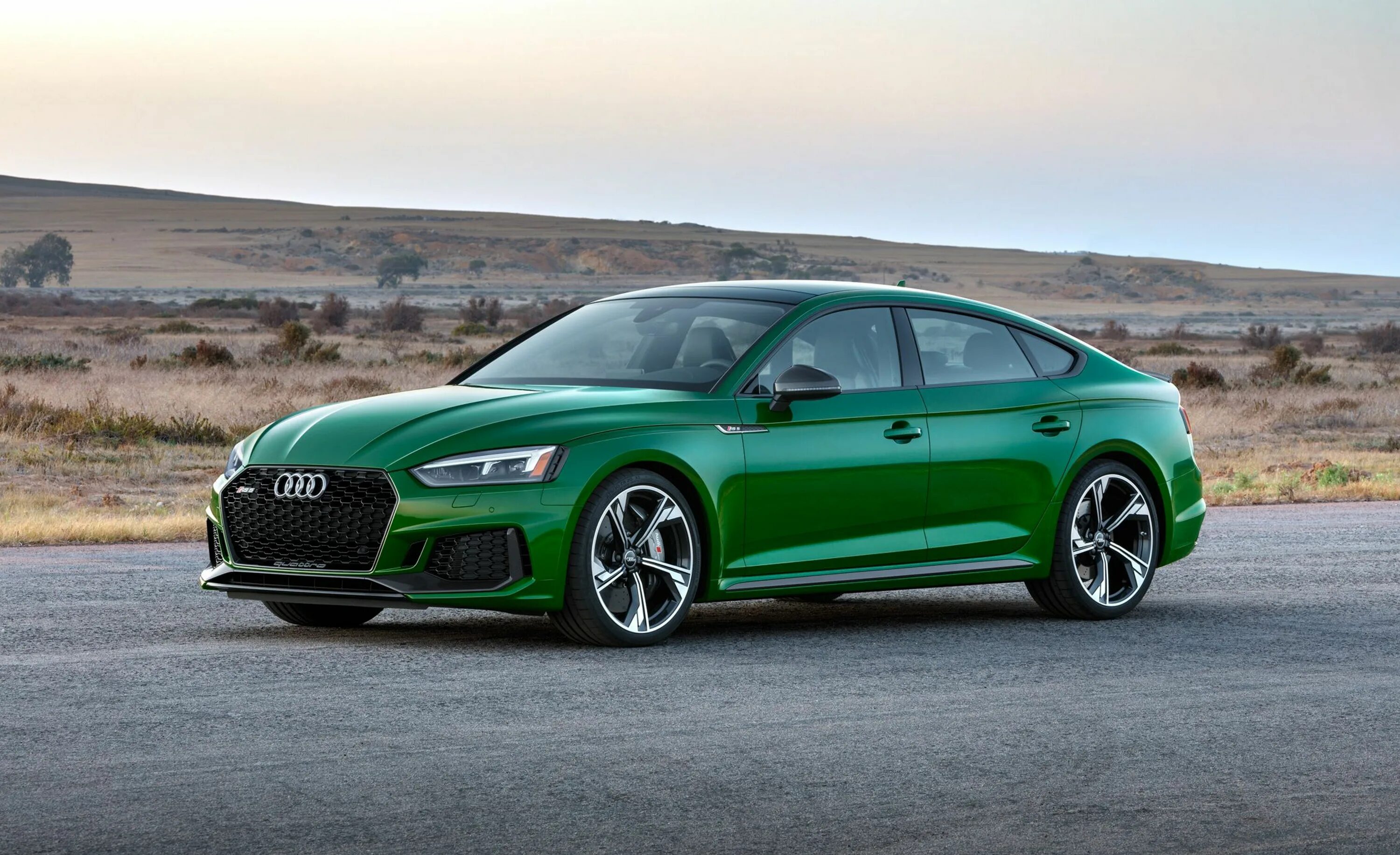 Цвет рс. Audi rs5 Sportback. Новая Audi rs5. Audi rs5 Sportback Green. Audi rs5 Sportback 2018.