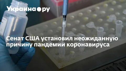 Вирус в сша 2023