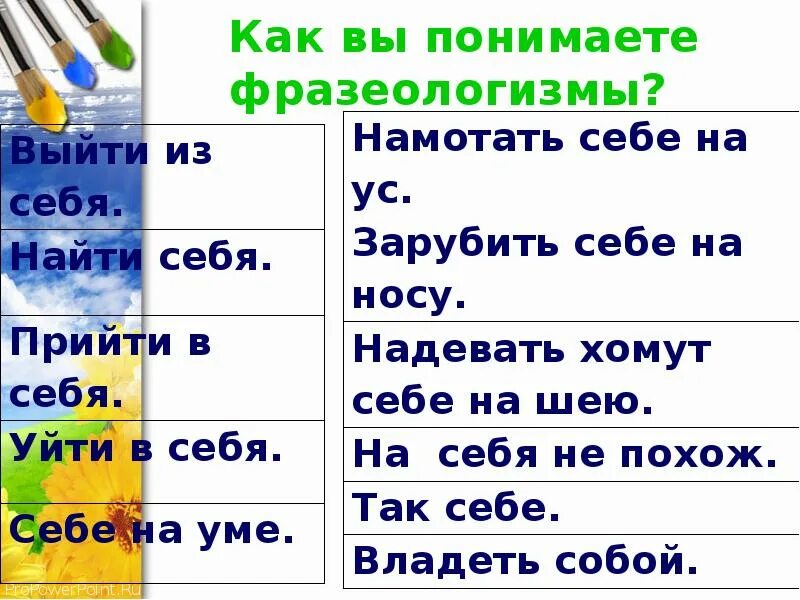 Урок возвратное местоимение себя 6 класс фгос. Фразеологизмы с местоимением себя. Фразеологизмы с возвратным местоимением себя. Фразеологизмы с местоимением себя со значениями. Возвратное местоимение себя 6 класс презентация.