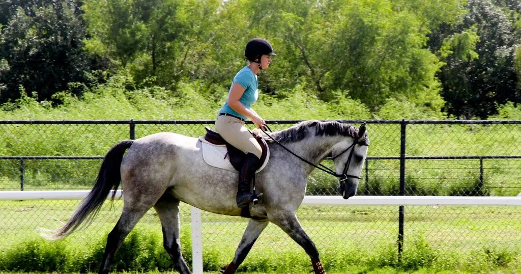 Изгиб Романенко еквестириан. Ralph Lauren Equestrian. Start riding