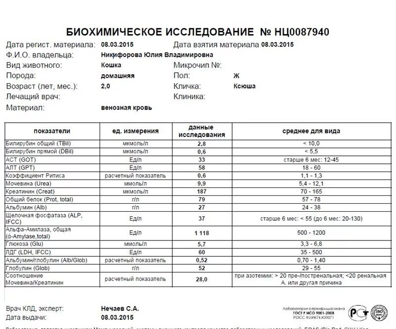 Показатели крови при почечной патологии почек. Камни в почках показатели мочи. Почки анализ мочи. Анализ мочи при почках. Какие анализы нужны чтобы проверить почки