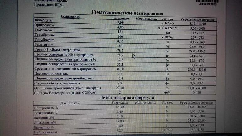 Показатели крови иммуноглобулин е общий анализ. Анализ крови иммуноглобулин е расшифровка у детей норма. IGE анализ крови расшифровка. Иммуноглобулин анализ крови расшифровка.