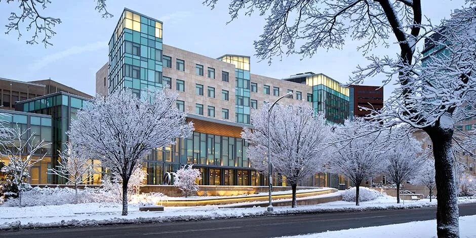 Mitsloan. Mit sloan school of management. Mit университет логотип. Логотип sloan business school. Mit sloan school of management.