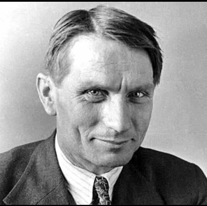 Эксперименты лысенко. Т д лысенко биология. теория лысенко.