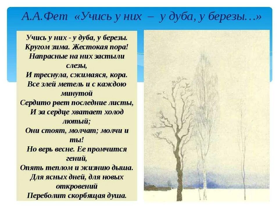 Стихотворение фета на выбор. Учись у них у дуба у березы фет. фет у дуба у березы стих. стихотворение фета учись у них у дуба у березы. а.а.фет «учись у них - у дуба, у берёзы...».«целый мир от красоты...»..
