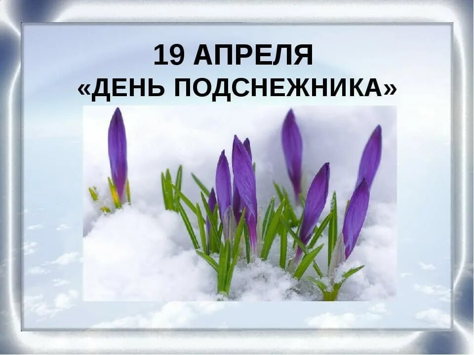 19 апреля 23 год