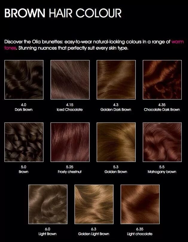 Дарк Браун цвет волос палитра. Гарньер колор Олия палитра красок. Краска Олиа палитра. Краска для волос дарк Браун Браун цвет.