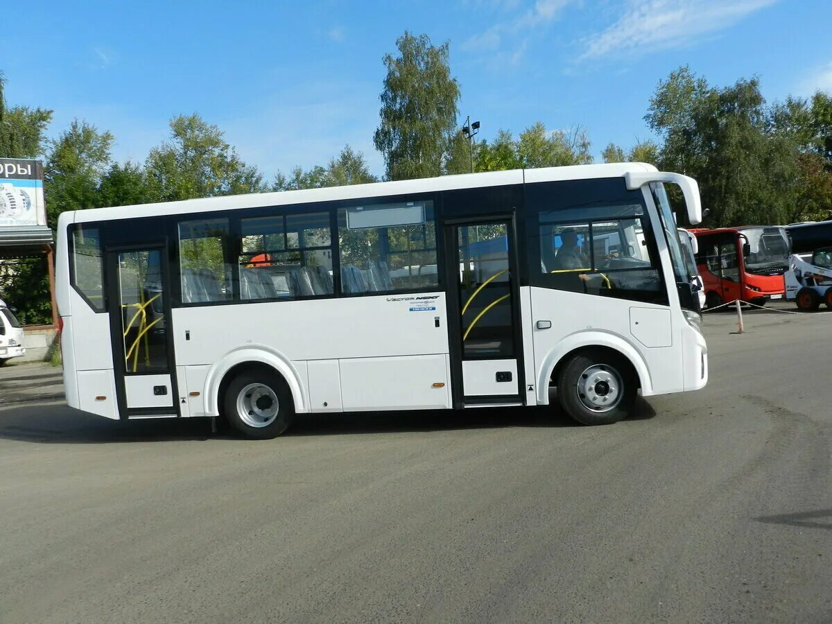 Паз 320405 04 вектор. ПАЗ 320405-04. ПАЗ 3204 Некст. ПАЗ вектор Некст 320405-04. Автобус ГАЗ vector next ПАЗ-320405.