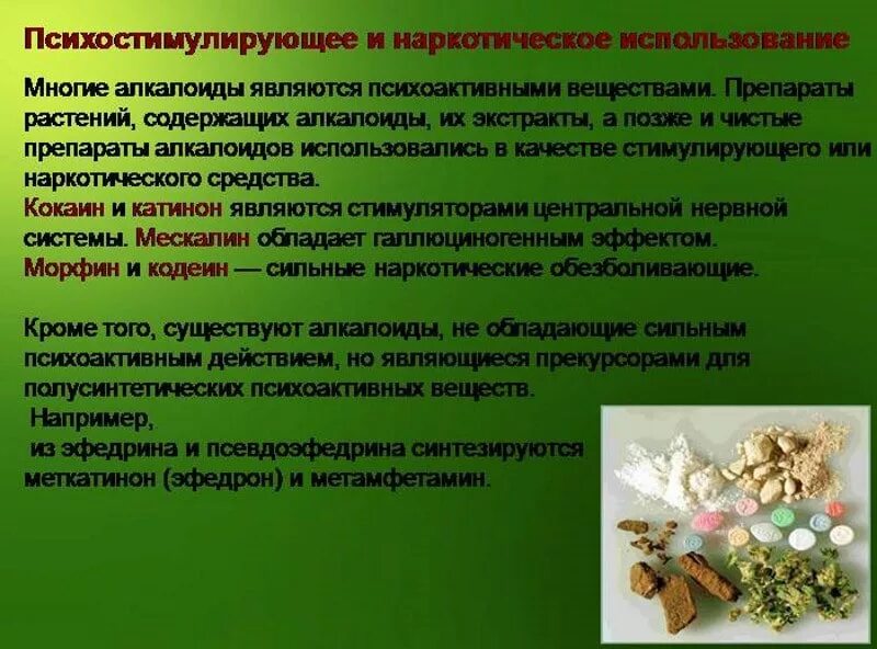 Пертуссин лекарственное растительное сырье. Запрещенные травы в россии список. Перечень растений содержащих. Словарь запахов. Однолетние растения.