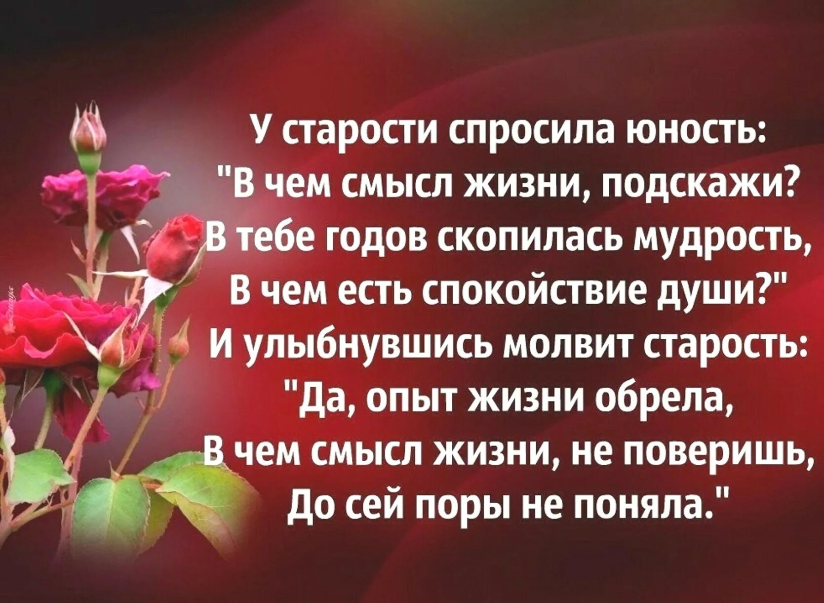 Пожелание о смысле жизни