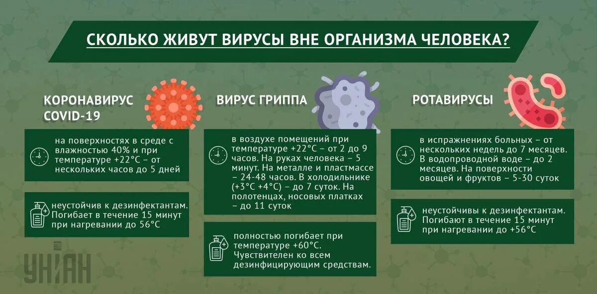 Гепатит вне организма живет. Вирус вне организма. Срок жизни вирусов вне организма. Вирусы гриппа живут в окружающей среде. Инфографика коронавирусной инфекции.