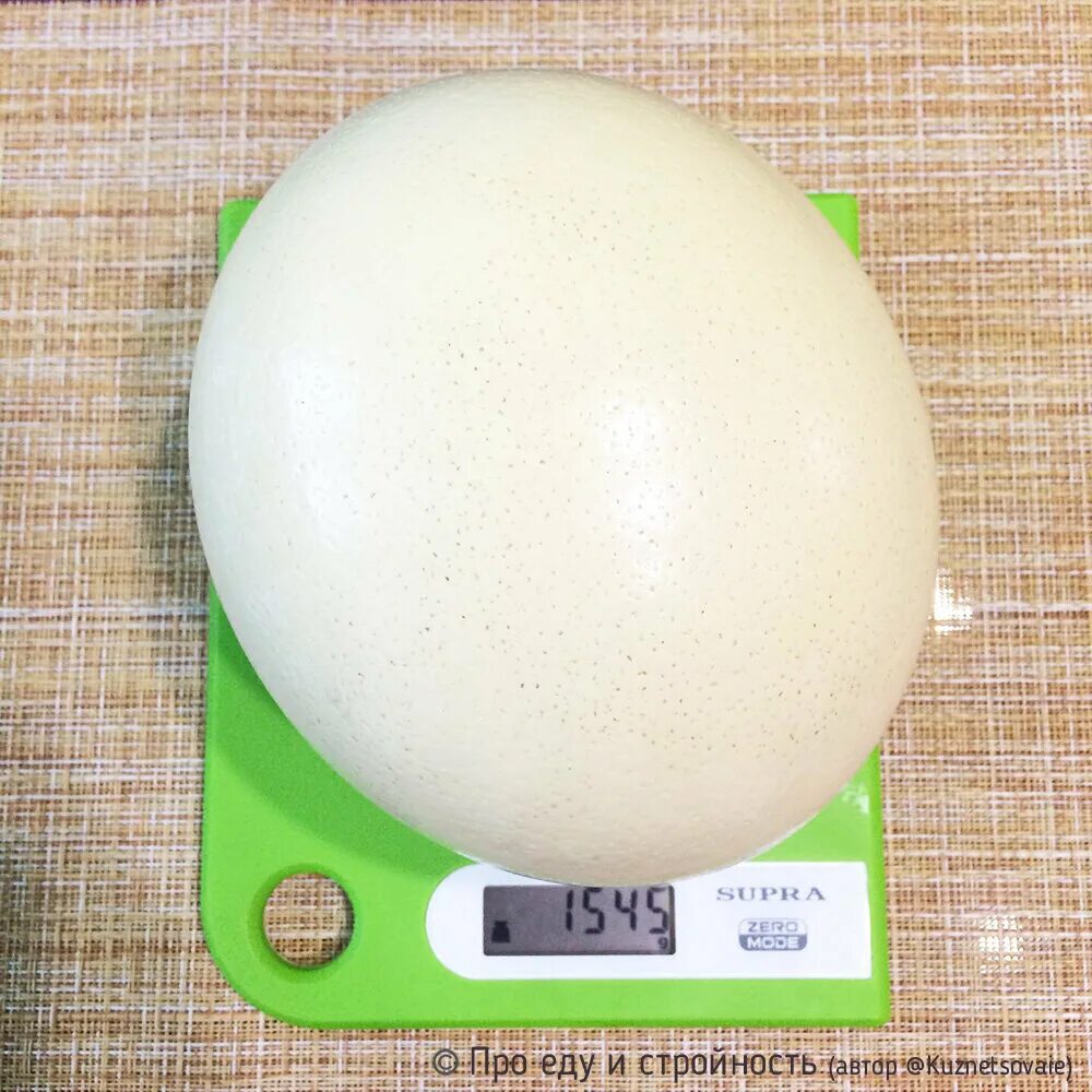 Вес страусиного яйца. Вес яйца страуса. Яйцо страуса размер. Страусиное яйцо размер. Сколько весит яйцо куриное без скорлупы вареное