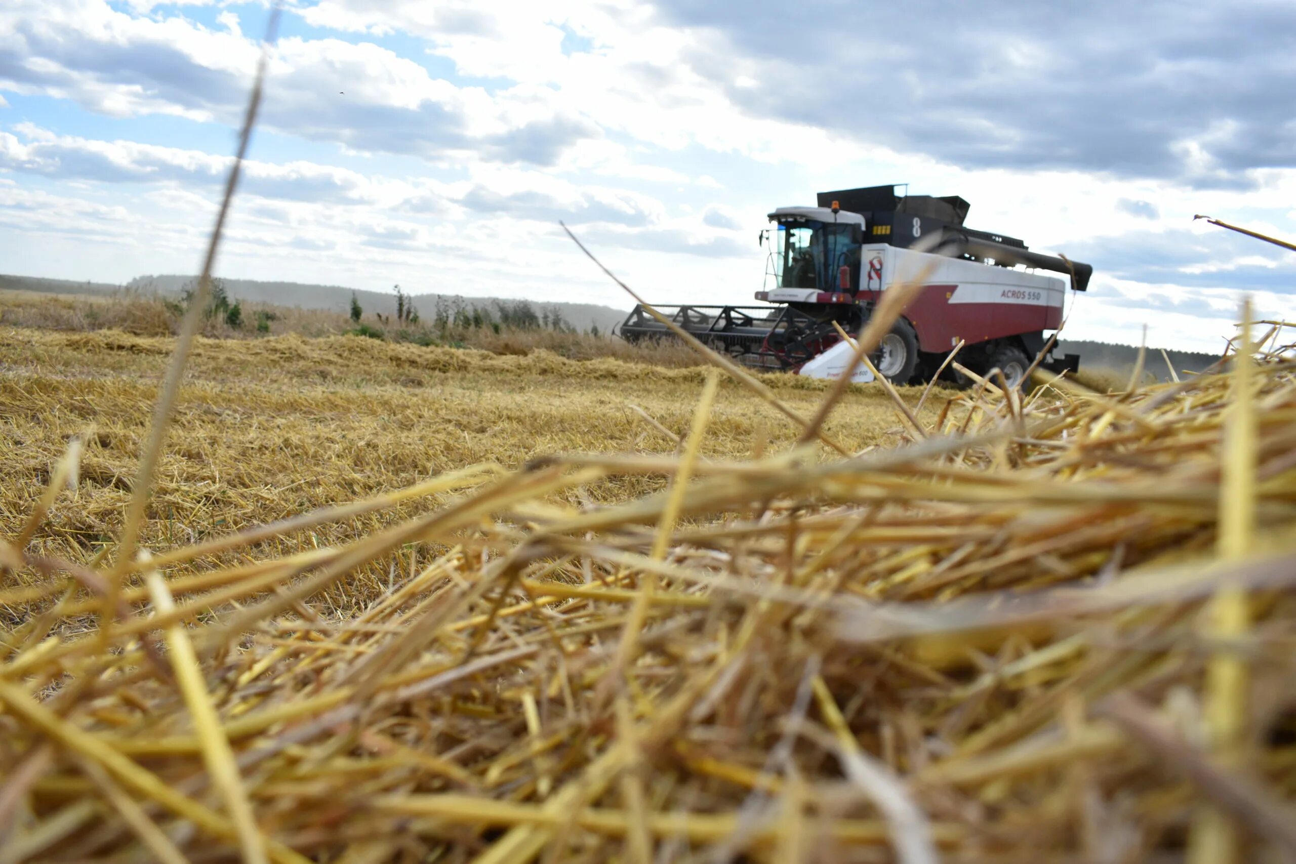 Белорусский комбайн для уборки зерновых. Южный урал сельское хозяйство. Станки для сельского хозяйства. John deere сельское хозяйство. Сельское хозяйство шумное.
