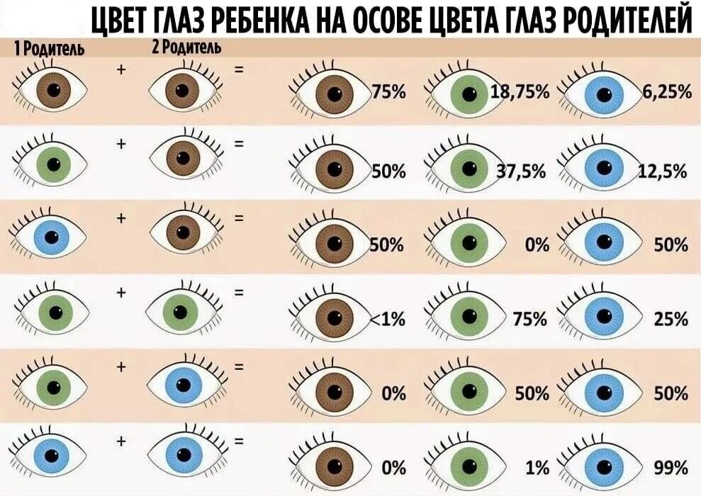 У светлоглазых рождаются кареглазые дети. Вероятность цвета глаз. Цвет глаз родителей и детей. Цвет глаз схема. Смешение цвета глаз.