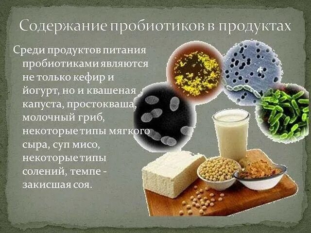 Как можно защитить продукты питания от бактерий. Пребиотики пробиотики и симбиотики. Продукты с полезными бактериями. Пробиотики и пребиотики в продуктах. Пробиотики в пищевых продуктах.