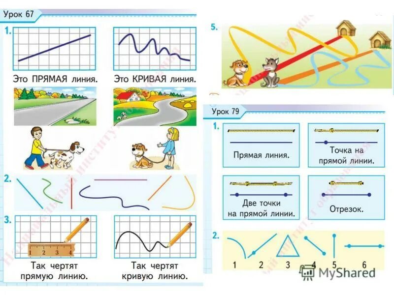 Урок точка линия. Прямые и кривые линии. Прямая и кривая линия. Точка прямая и кривая линии. Точка кривая линия прямая линия.