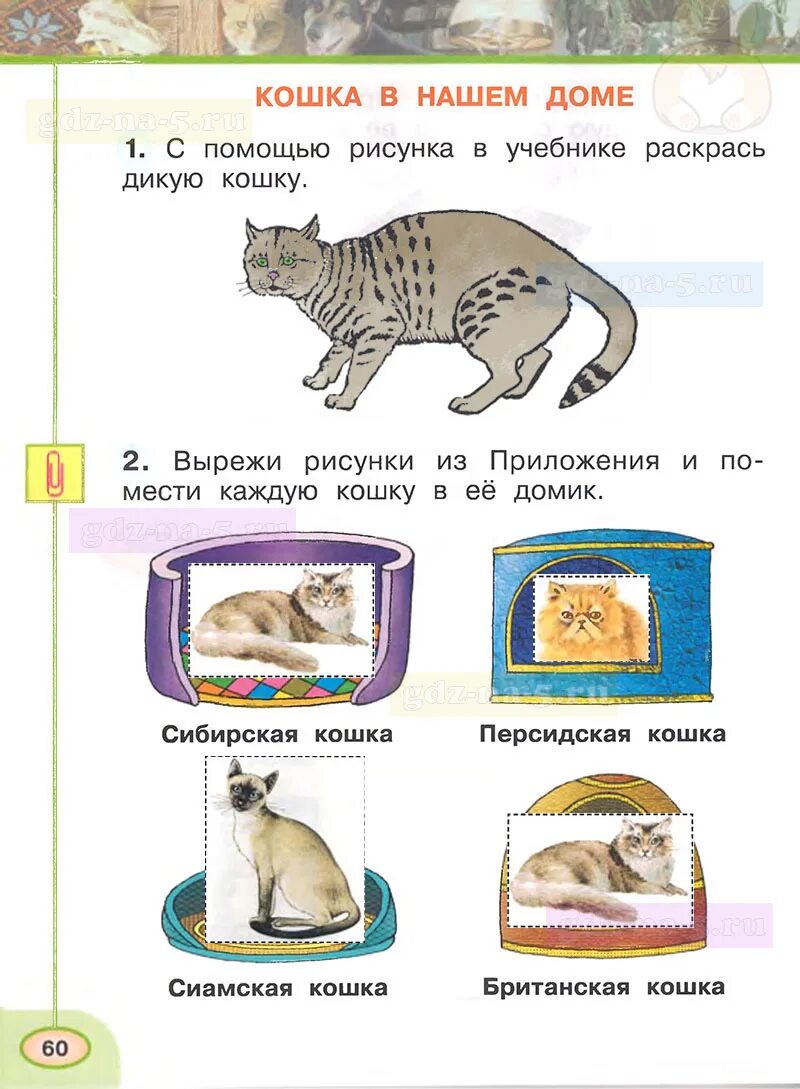 Окружающий 1 класс 1 часть рабочая тетрадь. Окружающий мир 1 класс ответы рабочая тетрадь Плешаков Новицкая. Гдз по окружающему миру 1 класс. Окружающий мир 1 класс рабочая тетрадь 1 часть Плешаков Новицкая. Окружающий мир 2 класс рабочая тетрадь 1 часть Плешаков Новицкая.