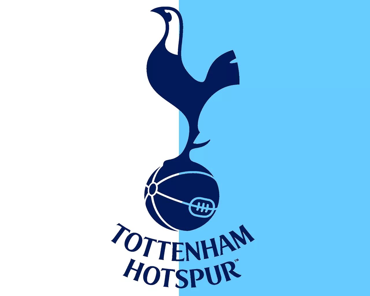 Tottenham hotspur. Тоттенхэм обои. флаг фк тоттенхэм. tottenham logo. лого тоттенхэма фанатское.