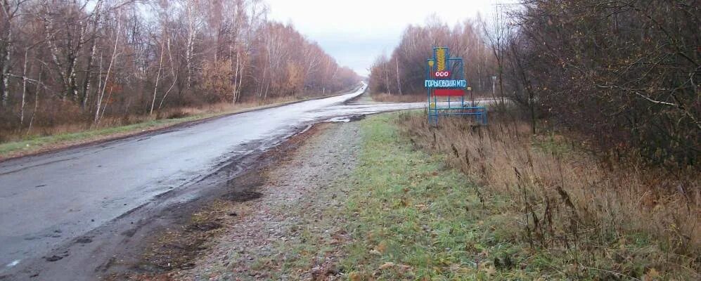 Горьковское теплое. Частные дома поселок. Посёлок тёплое тульская область. Посёлок тёплое тульская область. Горьковское теплое.