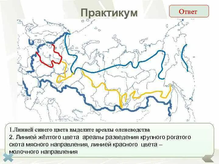 Ареалы крупного рогатого скота на карте. Ареал оленеводства. Ареалы разведения крупного рогатого скота. Ареал оленеводства в России
