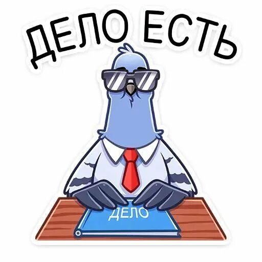 Дело голуб. Голубь в профиль. Дело голуб. Дело голуб. Голубь.