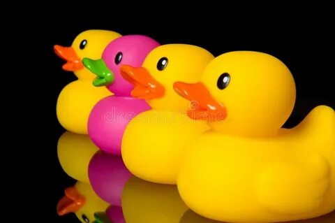 Ducks in a row
