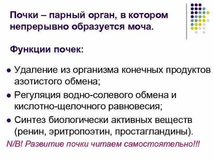 Парные органы
