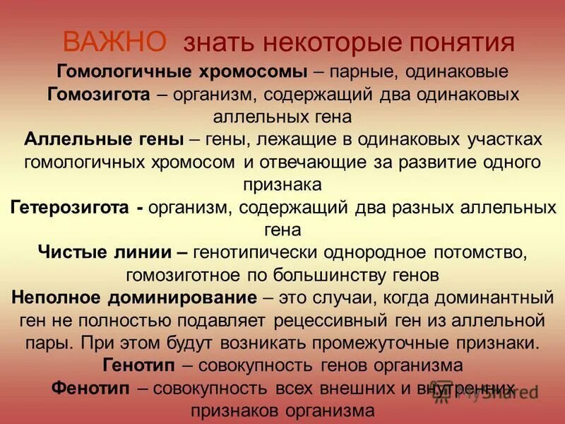 Организм содержащий два одинаковых аллельных гена. Организм содержащий два одинаковых аллельных гена. Организм с двумя одинаковыми парами аллельных генов. Особи с наследственными задатками только одной особи. Организм содержащий два одинаковых аллельных гена.