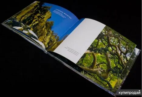 Книга белая река