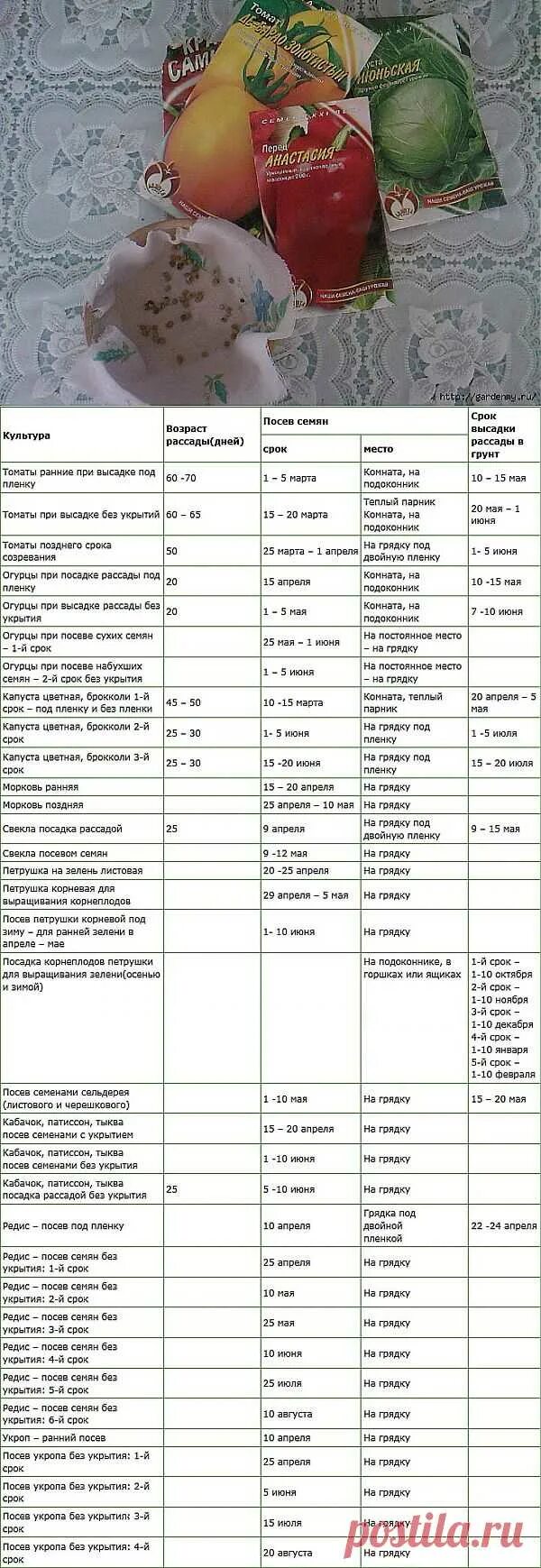 Сроки посадки овощей. Таблица высадки рассады. Сроки посадки рассады. Таблица посадки огородных растений на рассаду. Сроки выращивания рассады овощных культур.