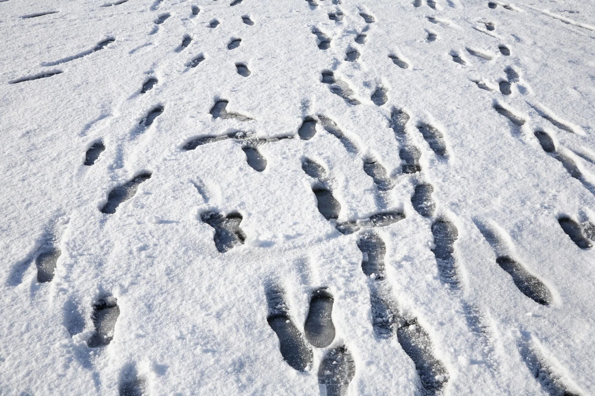 Дорожка следов сколько следов. Множество следов на снегу. Следы человека на снегу. Следы на снегу текстура. Детские следы на снегу.