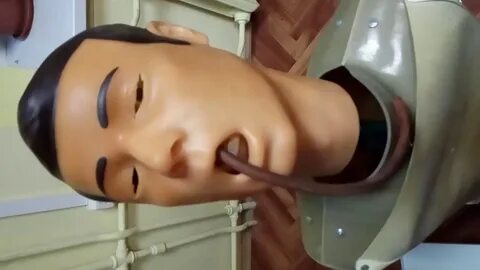Зонд видео