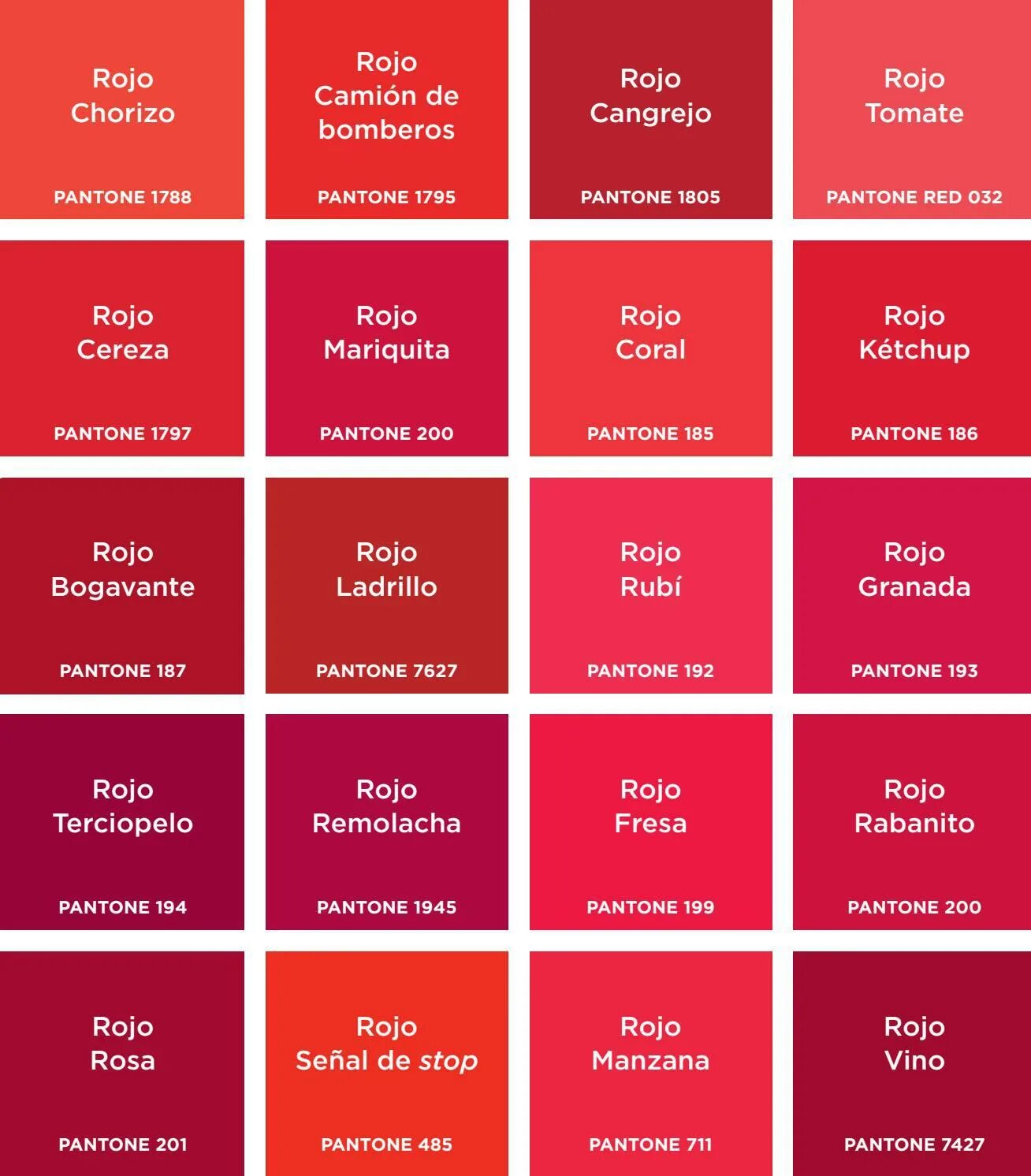 Подпишите названия государств и их столиц. Контурная карта стр 24 7 класс. Половцы территория расселения. Карта руси 1169. Контурная карта европа после венского конгресса 1815-1847 гг.