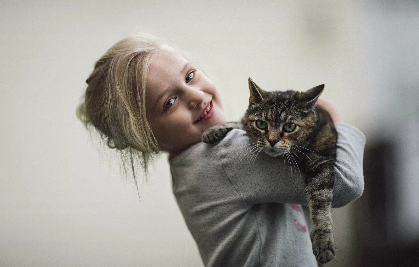 Котики и люди