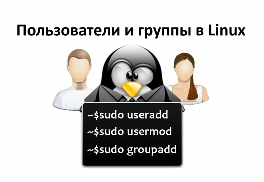 Пользователи Linux. Пользователь линукс. Группа пользователей Linux. Добавить пользователя в группу Linux.